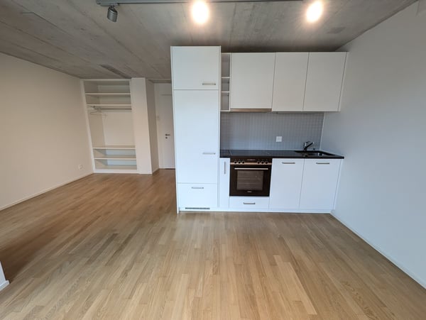 Moderne 1-ZWG (1H) an der St. Jakob-Str. 110 in Muttenz 2