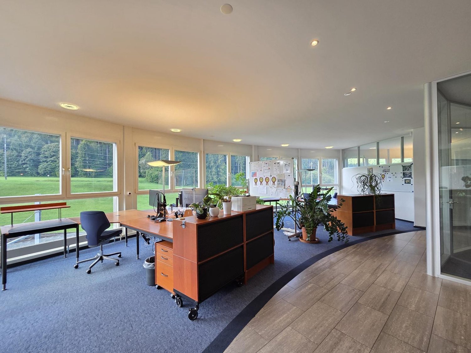modern office with large windows, wooden desk, office chairs, and potted plants
