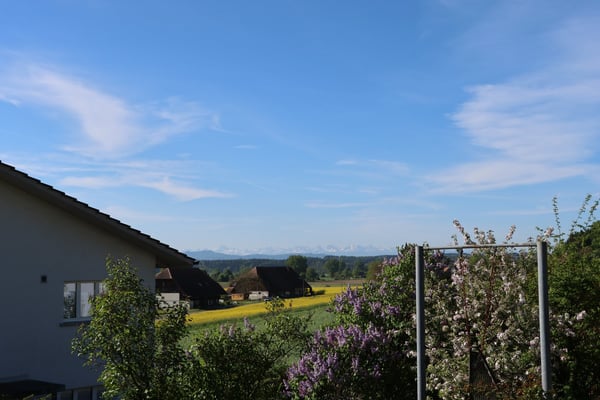 Charmantes Einfamilienhaus mit Pool und grossem Garten in Kyburg-Buchegg 6