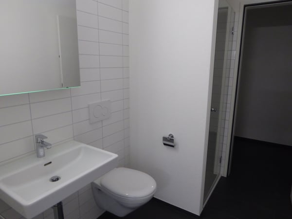 Erleben Sie den Wohntraum mitten in Lenzburg 3