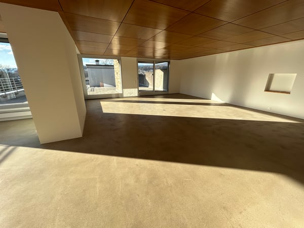 Exklusive 1.5-Zi.-Attikawohnung mit Dachterrasse und Cheminée in Aarau 4