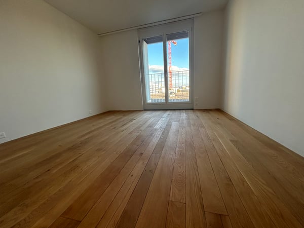 Exklusive 1.5-Zi.-Attikawohnung mit Dachterrasse und Cheminée in Aarau 7