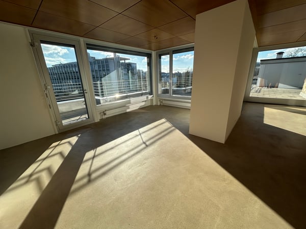 Exklusive 1.5-Zi.-Attikawohnung mit Dachterrasse und Cheminée in Aarau 5