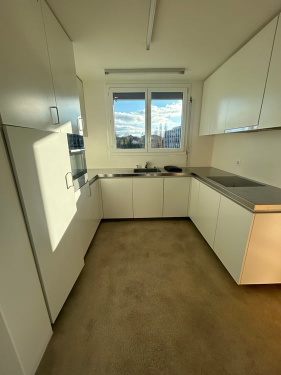 Exklusive 1.5-Zi.-Attikawohnung mit Dachterrasse und Cheminée in Aarau 1