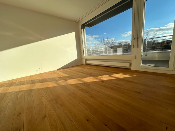 Exklusive 1.5-Zi.-Attikawohnung mit Dachterrasse und Cheminée in Aarau 6