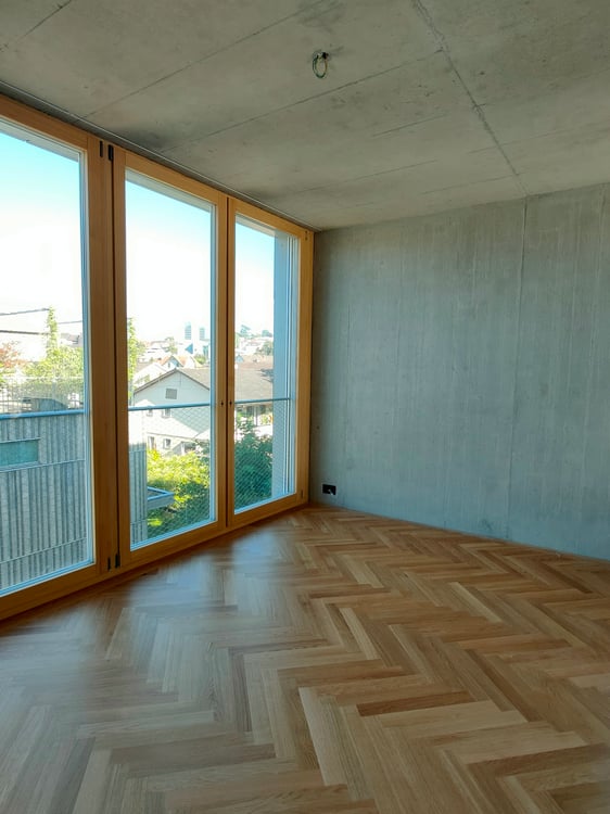 Klimatisierte 1.5-Attikawohnung mit grosszügiger Terrasse in Aarau 4