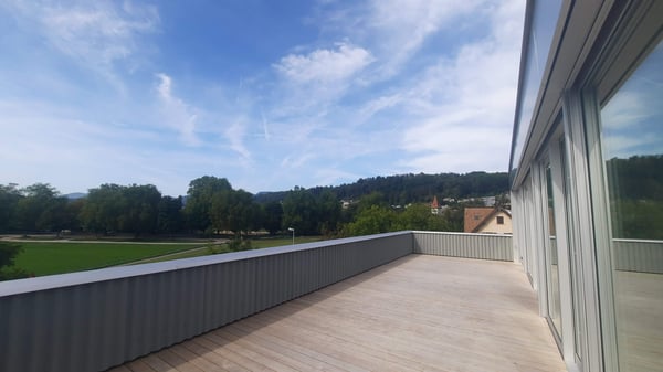 Klimatisierte 1.5-Attikawohnung mit grosszügiger Terrasse in Aarau 5