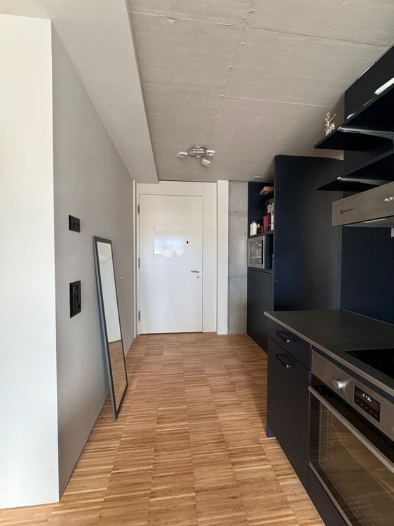 schöne Loftwohnung in der Stadt Aarau 4