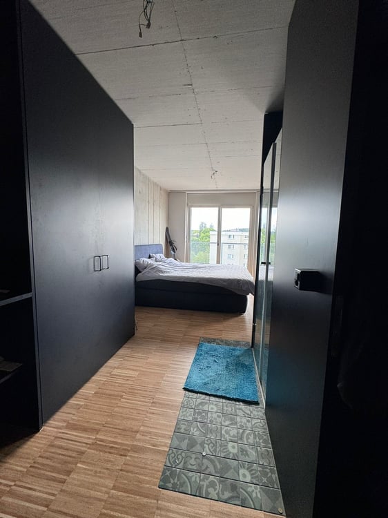 schöne Loftwohnung in der Stadt Aarau 3