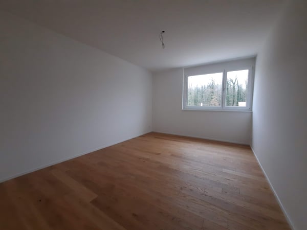 Moderne 1.5-Zimmerwohnung in Schönenwerd 5
