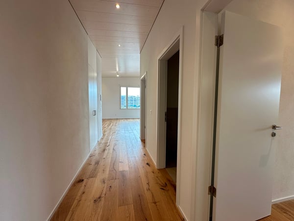 Grosszügige 1.5-Zimmer-Wohnung im Seepark Alemannis 4