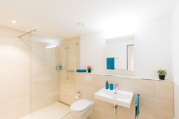 Helle 1.5-Zimmerwohnung in naturnahem Quartier 4