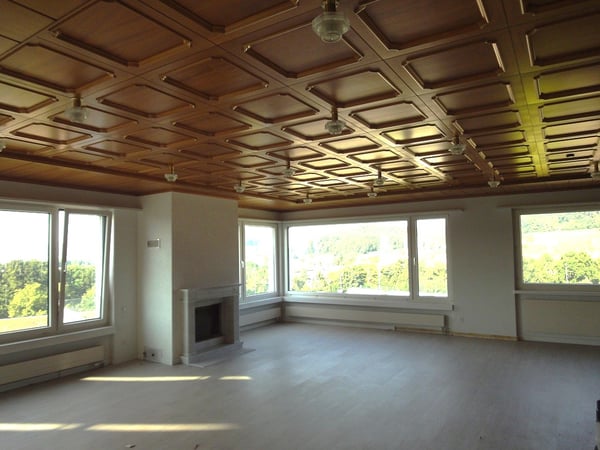 Loftartige, aussergewöhnliche 4.5-Zimmerwohnung mit traumhafter Aussicht 4