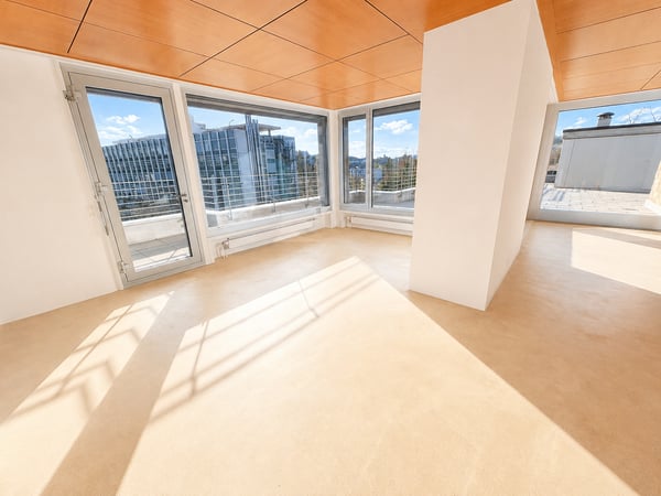 Exklusive 4.5-Zi.-Attikawohnung mit Dachterrasse und Cheminée in Aarau 5