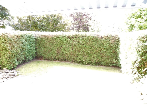 Helle Single-Wohnung mit Gartensitzplatz 6
