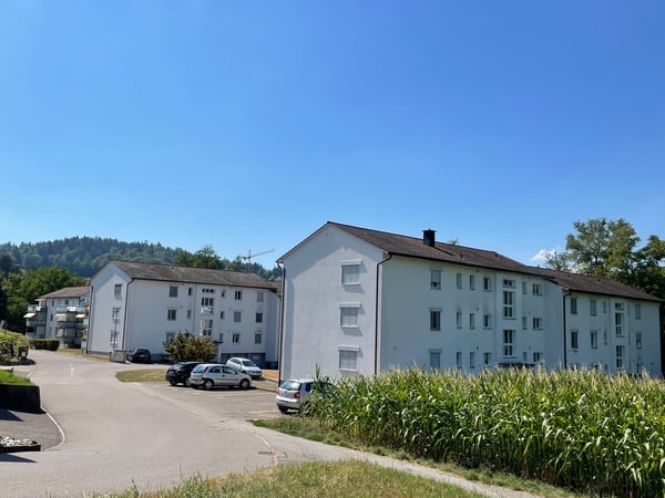 Hübsche und praktische 3- Zimmerwohnung 1