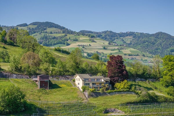 Einfamilienhaus mit Einliegerwohnung am Rebberg 13