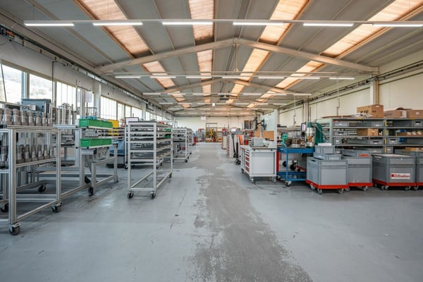 Gewerbeliegenschaft mit Baulandreserve 6