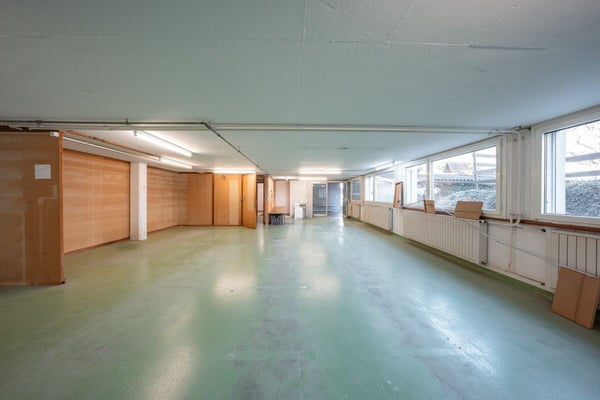 Gewerbeliegenschaft mit Entwicklungspotenzial 10