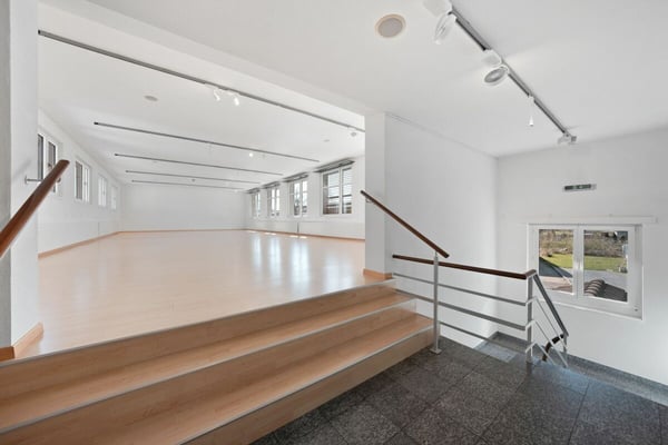 Gewerbeliegenschaft mit Entwicklungspotenzial 8