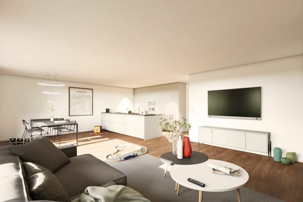 Neubau Reiheneckhaus 6