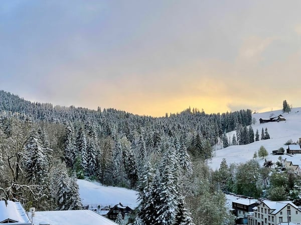 1.5-Zimmer-Loftwohnung 11