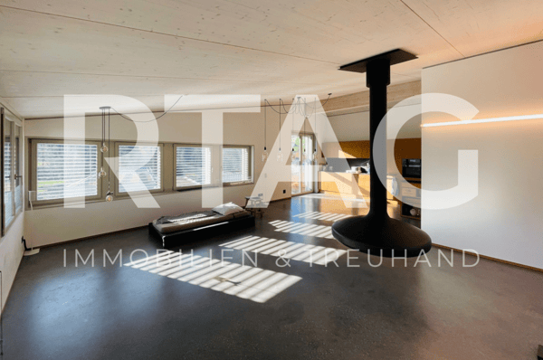 1.5-Zimmer-Loftwohnung 1