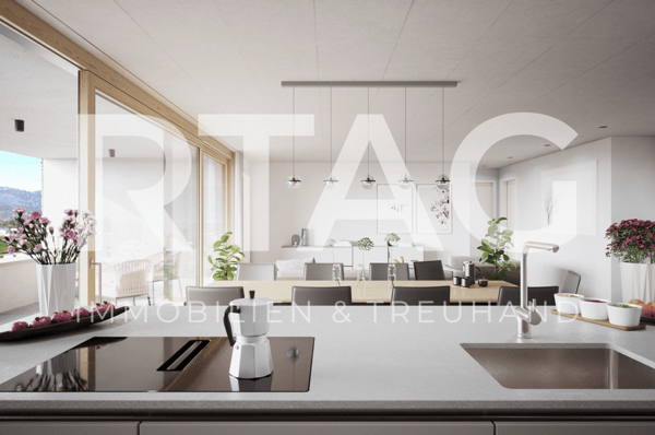 1.5-Zimmer-Wohnung 1