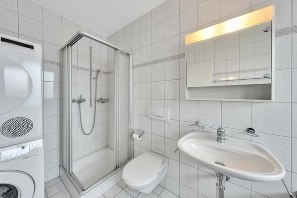 1.5-Zimmer-Attikawohnung 7