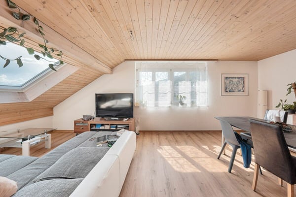 1.5-Zimmer-Wohnung 3