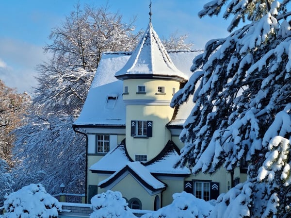 Herrschaftsvilla mit 2'002 m2 parkähnlichem Grundstück 2