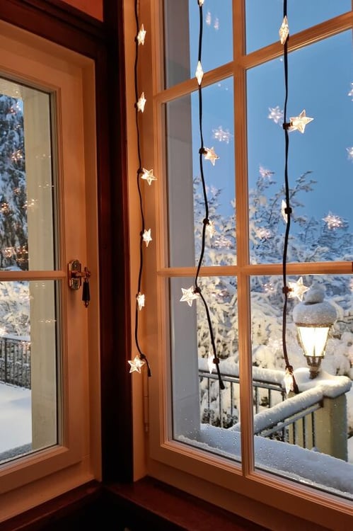 Herrschaftsvilla mit 2'002 m2 parkähnlichem Grundstück 3