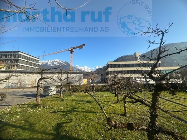 5.5-Zimmer Doppeleinfamilienhaus mit Panorama auf das Jungfraumassiv 11