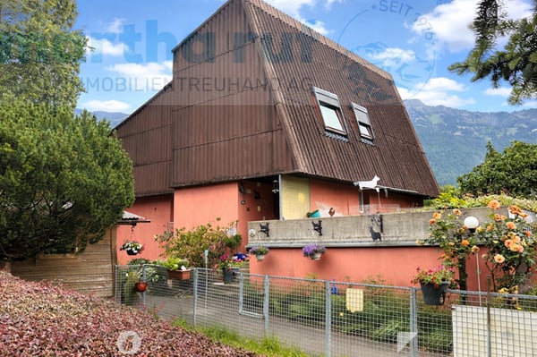 Vielseitiges Wohnhaus mit Tierpension nahe dem Zentrum 2