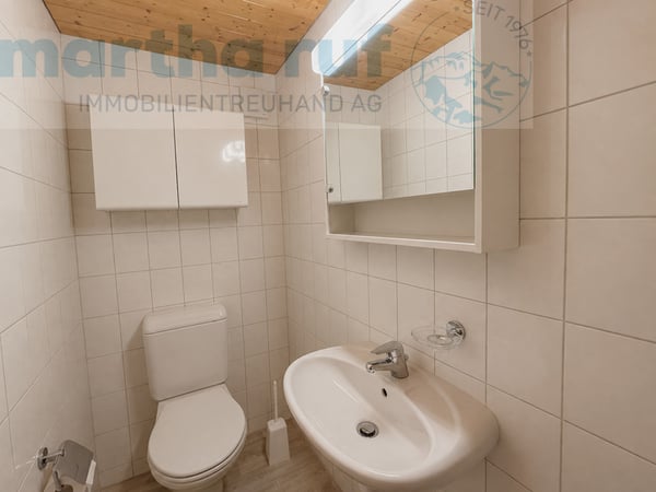 Wohnen über den Dächern 4.5- Zimmer-Dachwohnung mit Bergsicht 10
