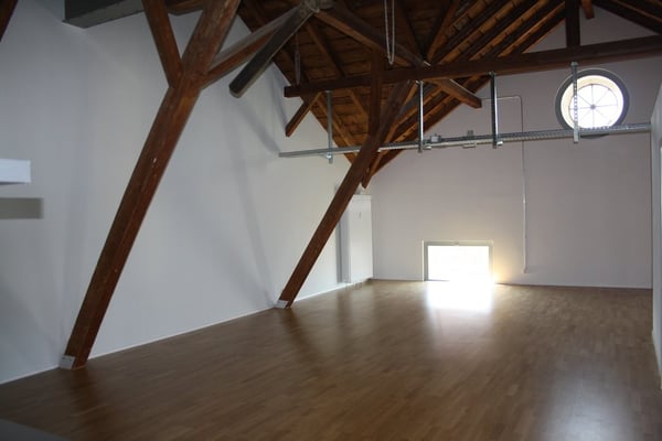 MIETEN OHNE KAUTION - Geräumige Loftwohnung im Haldengut-Areal 5