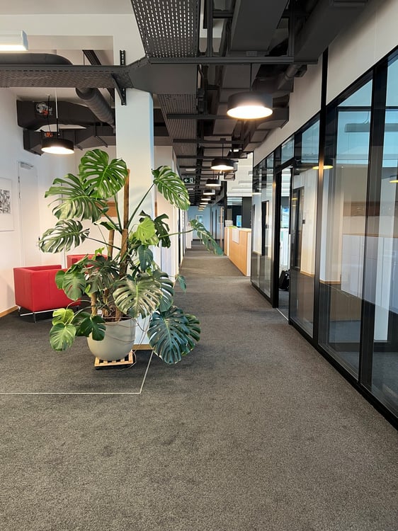 Arbeiten im Sulzerareal: 570m2 Bürofläche zentral in Winterthur 6