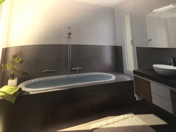 Neuwertige 1.5 Zimmerwohnung mit Eigentumsstandard zu vermieten 3