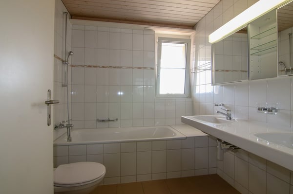 Attikawohnung mit einzigartiger Terrasse 9