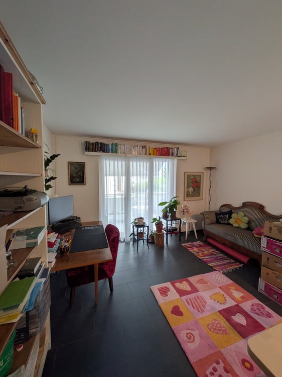 Charmante 2-Zimmer-Wohnung mit neuem Balkon in Solothurn 6