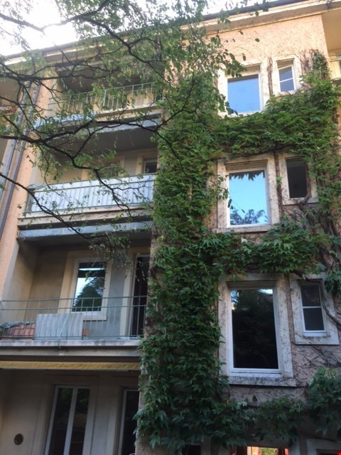 grosszügige 1.5 Zimmer Altbauwohnung im Dachgeschoss mit Dachterrasse 4