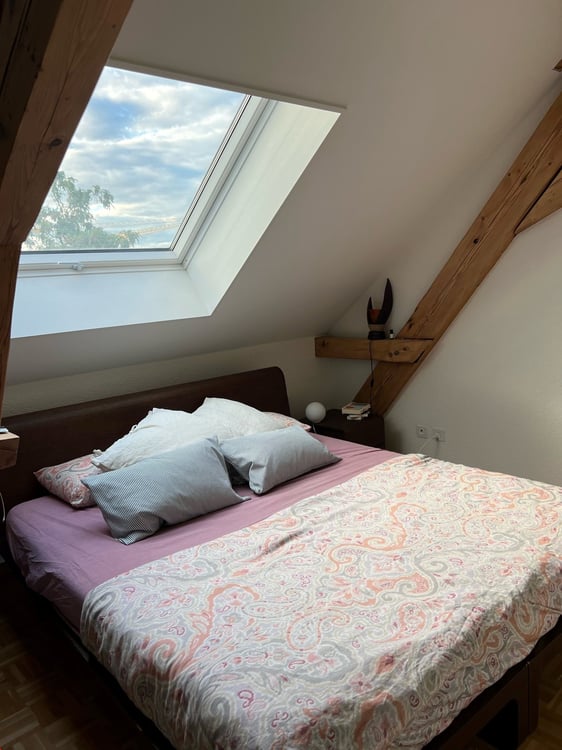 grosszügige 1.5 Zimmer Altbauwohnung im Dachgeschoss mit Dachterrasse 7