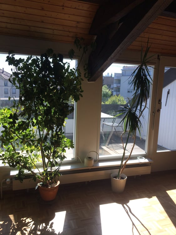 grosszügige 1.5 Zimmer Altbauwohnung im Dachgeschoss mit Dachterrasse 1
