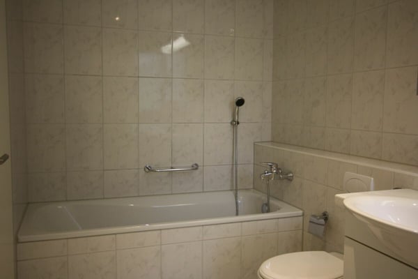 Grosszügige 1.5-Zimmerwohnung in Küssnacht am Rigi 4