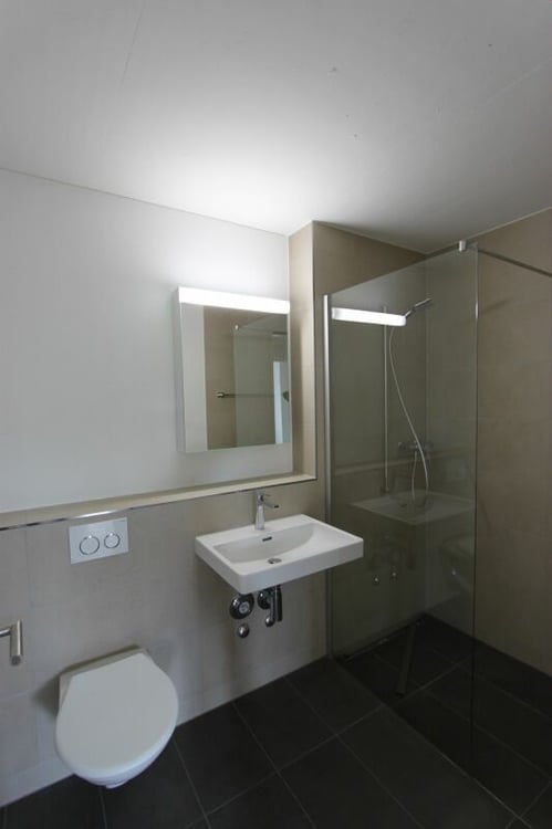 Moderne 1.5-Zimmerwohnung in Immensee 4