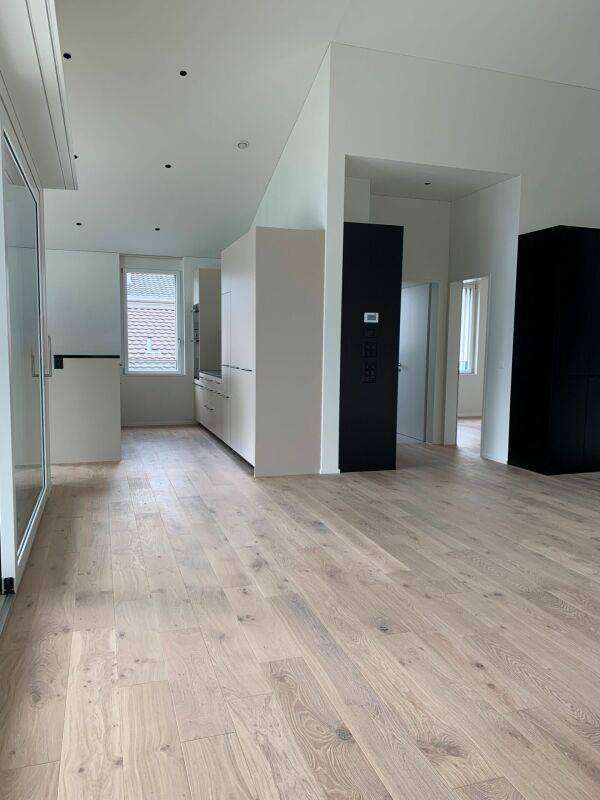 Exclusive attic apartment with unique lake and mountain views