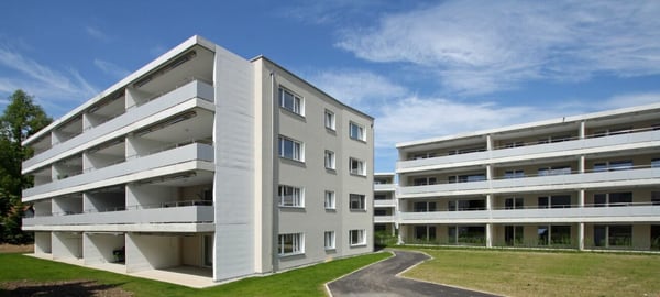 Blick ins Grüne