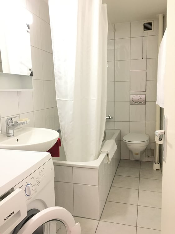 Lovely 1.5 room flat near to Schützenmatt Park 4