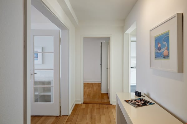 Beautiful 1 room across from Schützenmatt Park 2