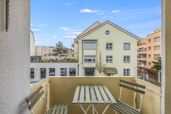 Lovely 1.5 room flat very near to Schützenmatt Park 3